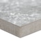 Msi Legions Lunar Silver 24 In. X 48 In. Matte Porcelain Paver Tile ZOR-LSC-0042 - alternate 2